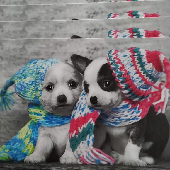 🎄🐶8 Dogs Puppy Thank you cards/Christmas Greeting cards - Picture 2 of 5